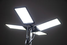 Load image into Gallery viewer, img_6538.jpg